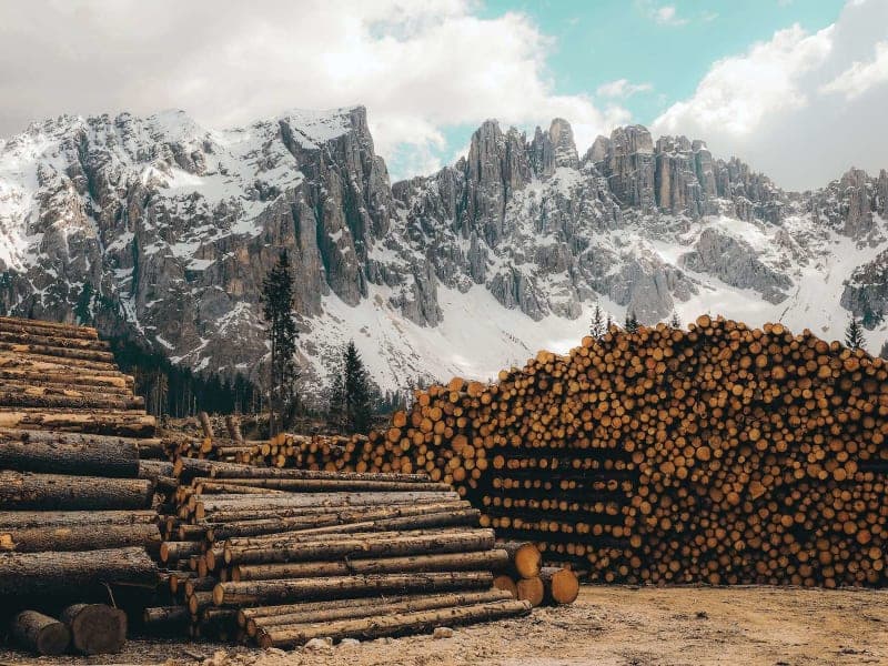 Lumber Companies & Building Material Suppliers