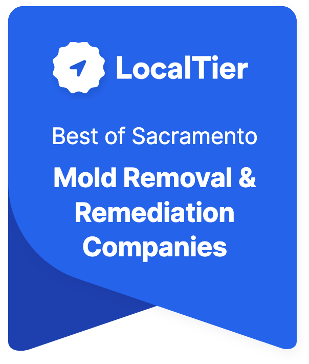 Best Mold Removal & Remediation Companies in Sacramento