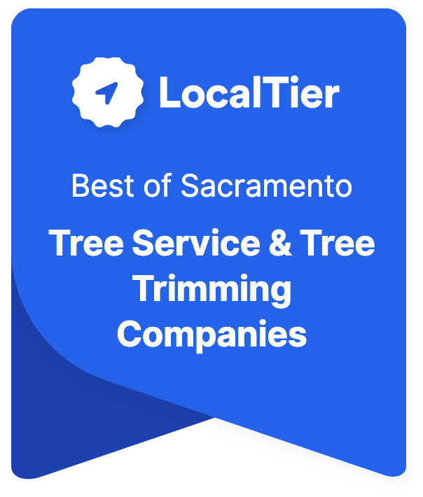 Best Tree Service & Tree Trimming Companies in Sacramento